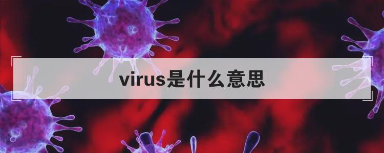 virus是什么意思