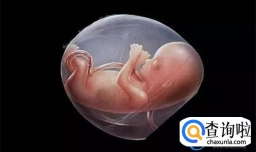 怀孕20周的胎儿有多大 很多孕妈不太清楚 早知道 早留心