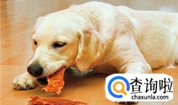 狗狗一天吃多少比较合适