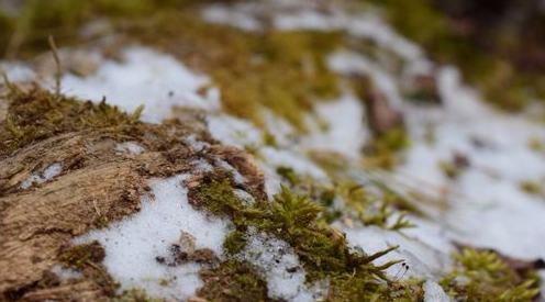 毕棚沟旅游攻略