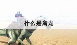 什么是禽龙