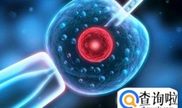 试管婴儿移植前有哪些注意事项？