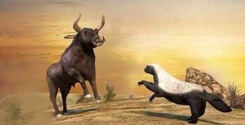 蜜獾的天敌是什么动物