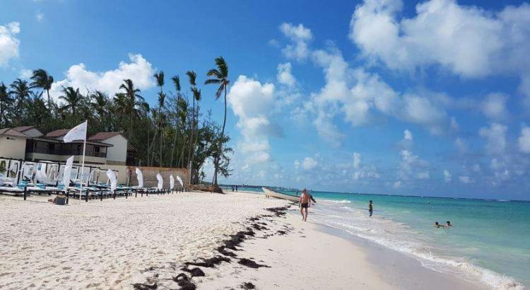 beach是什么意思