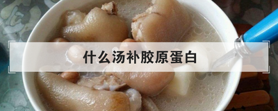 什么汤补胶原蛋白