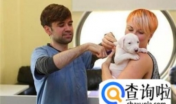 如何给你的狗植入微芯片