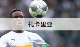 扎卡里亚技术特点，扎卡里亚什么水平