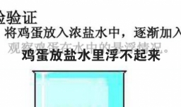 鸡蛋放盐水里浮不起来