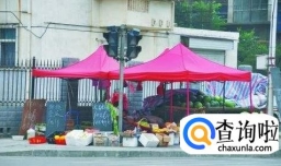 如何摆摊卖水果