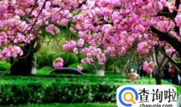 湖北适合春季游玩的地方有哪些？