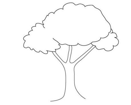 大树简笔画
