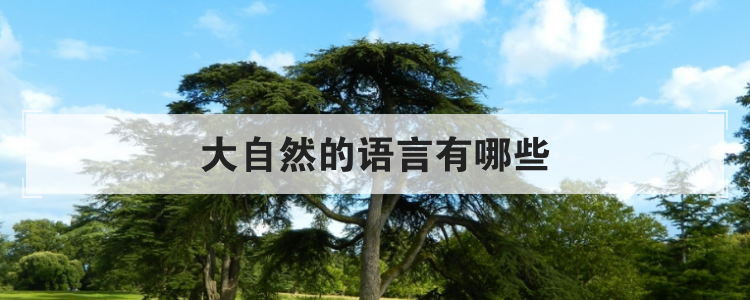 大自然的语言有哪些