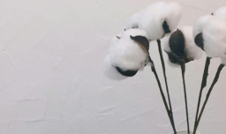 适合发朋友圈的文案句子有哪些？