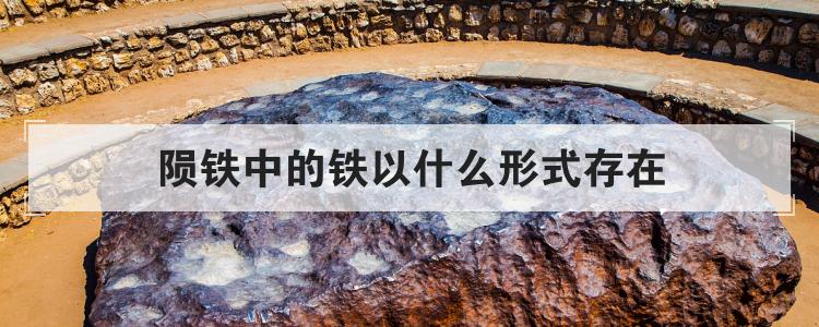 陨铁中的铁以什么形式存在