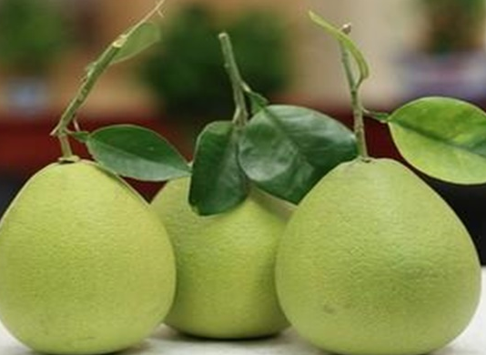 文旦和柚子的区别