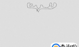 怎么画驯鹿简笔画步骤图