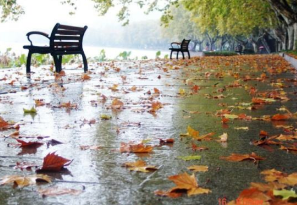 秋雨的特点是什么
