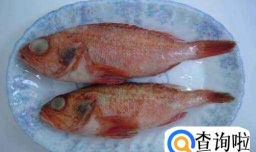 清炖红头鱼的做法