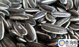 雪地松鼠吃什么