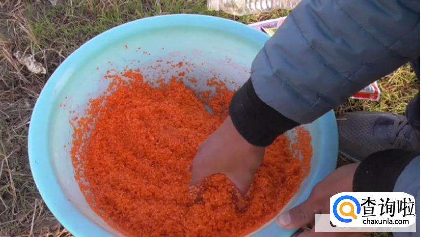 如何制作鲫鱼窝料