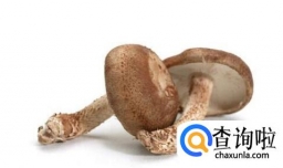 常吃什么可以补充维生素D