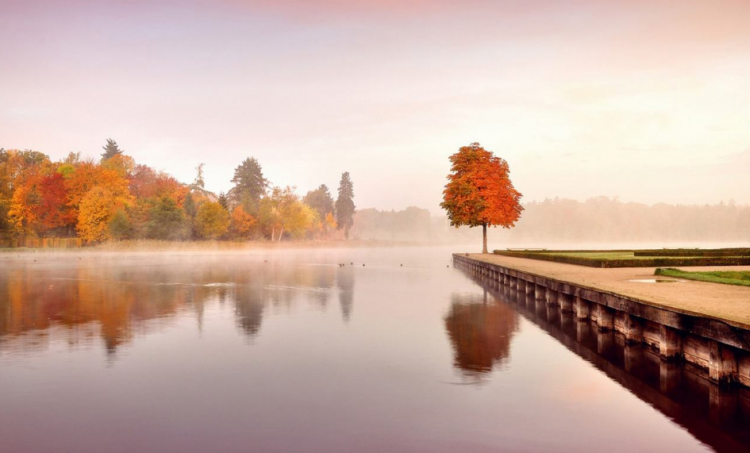 为什么立秋了还那么热