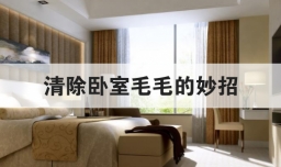 清除卧室毛毛的妙招
