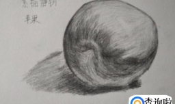 素描静物作画步骤