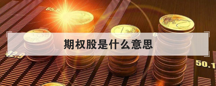 期权股是什么意思