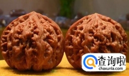 关于文玩核桃保养总结