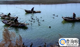 东平湖旅游攻略