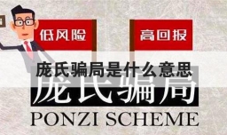 庞氏骗局是什么意思