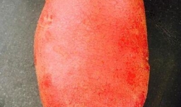 五花肉炖土豆和酸菜的家常做法