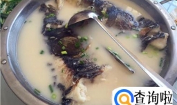 清炖鱼头汤最佳做法