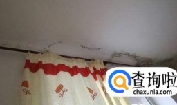 房子霉味太重怎么办