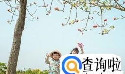 吕姓宝宝起名字大全