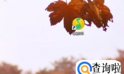 qq音乐怎么下载mv到电脑