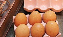 日常生活中适合减肥女性吃的低热量食物一览表