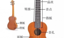 尤克里里的基本知识-琴的构造，调音与识谱