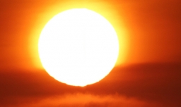 我想画个什么的太阳送给什么因为什么怎么造句？