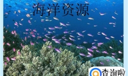 海洋资源包括哪些