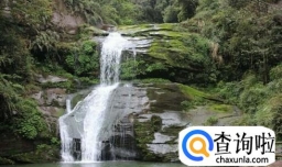 雅安碧峰峡和上里古镇自驾游玩攻略