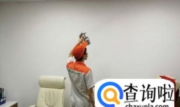 去除甲醛的家居6大植物