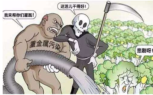 防腐剂过量属于食品污染的哪一种