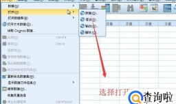 如何在SPSS软件中对数据文件进行结构重组