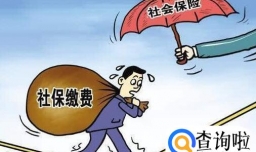 社保和农村合作医疗有什么区别，社保和农村合作医疗哪个报销多