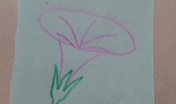 简笔画好看的花朵