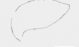 多妈简笔画简单的大鲨鱼画法