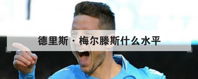 德里斯·梅尔滕斯什么水平