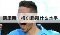 德里斯·梅尔滕斯什么水平